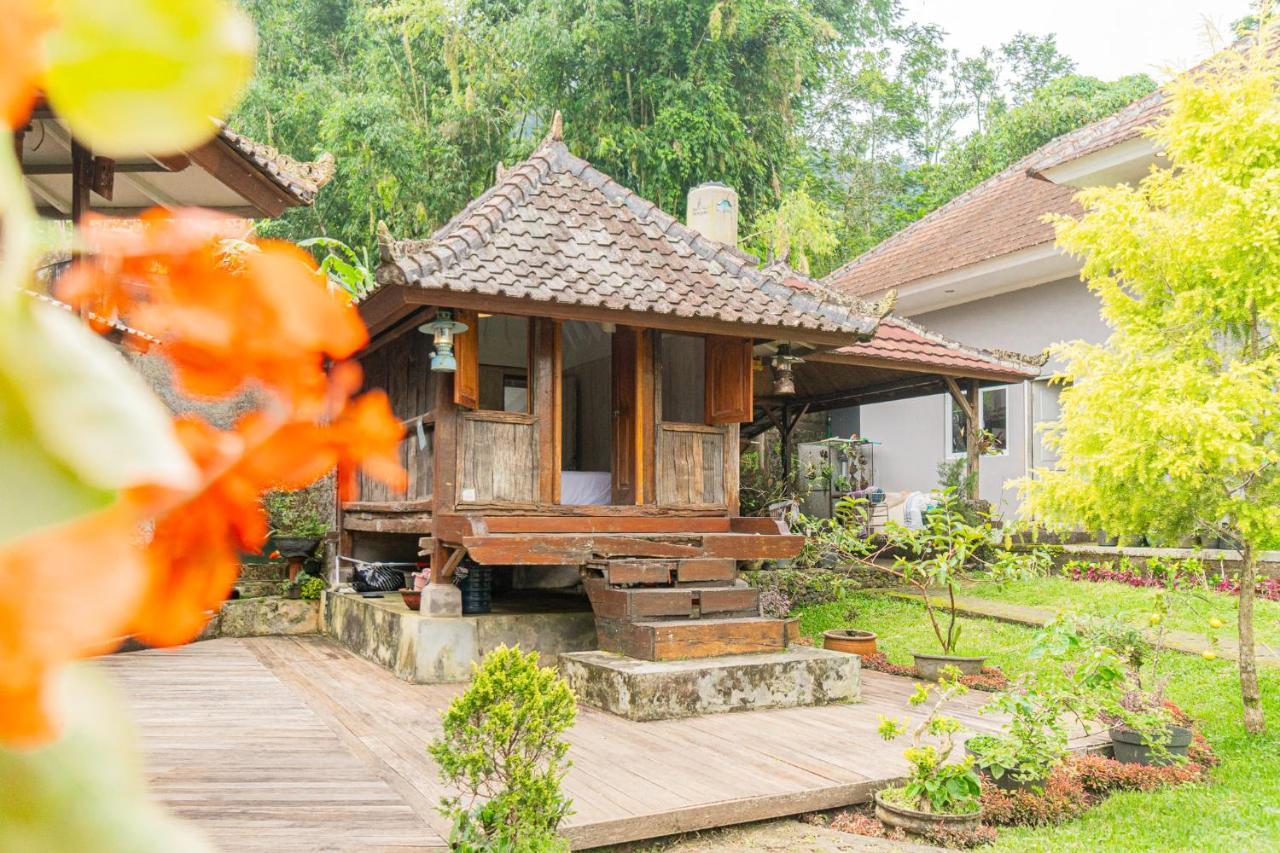 Вилла Four Monkeys House Бедугул Экстерьер фото